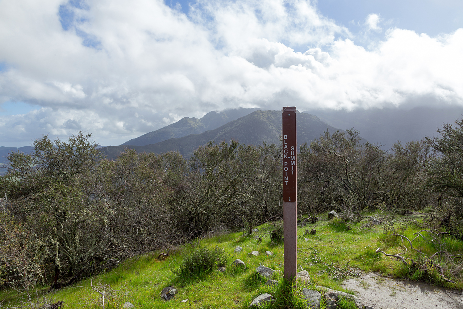 2 mount diablo state park black point 2-18.jpg