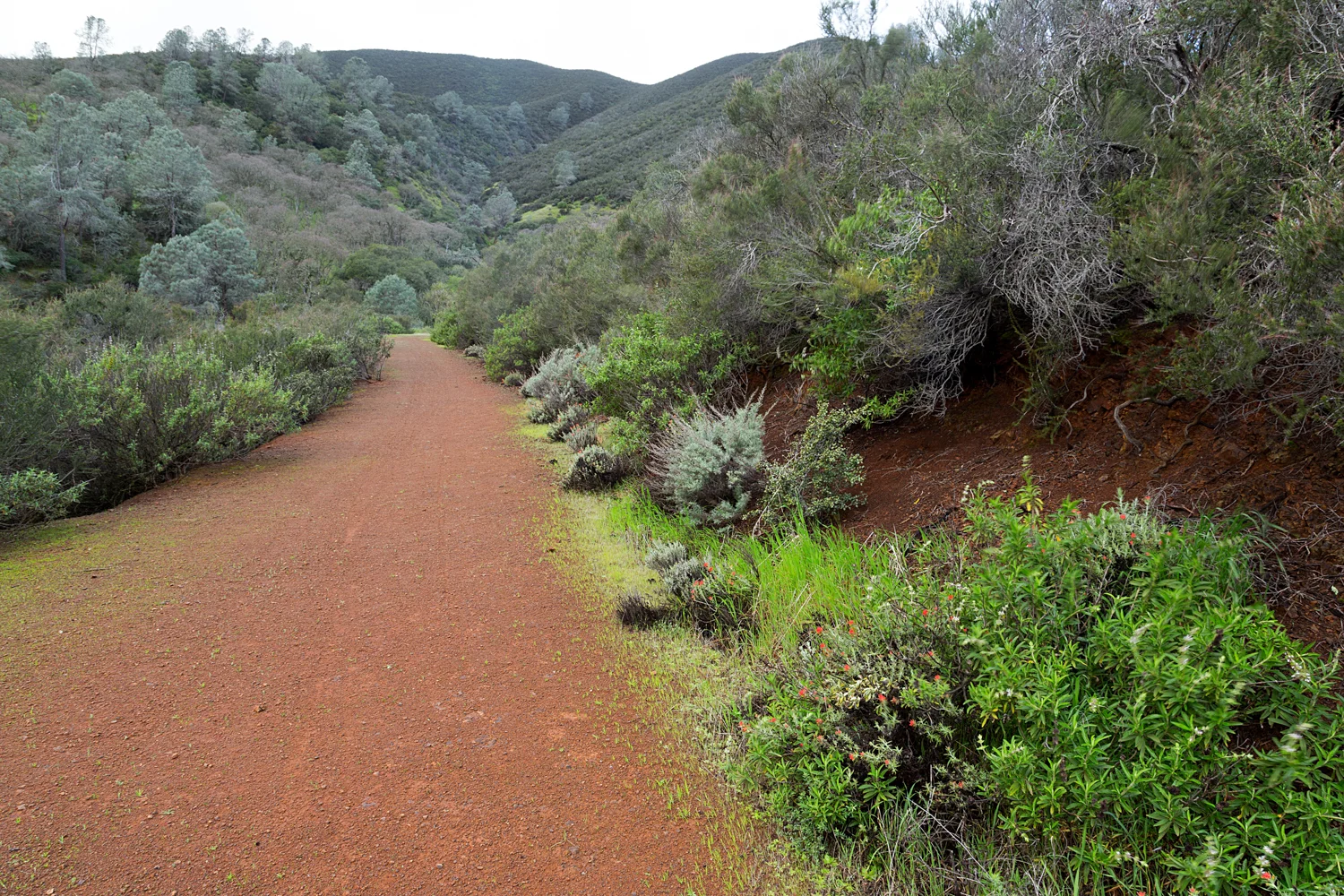 2 mount diablo state park black point 2-21.jpg