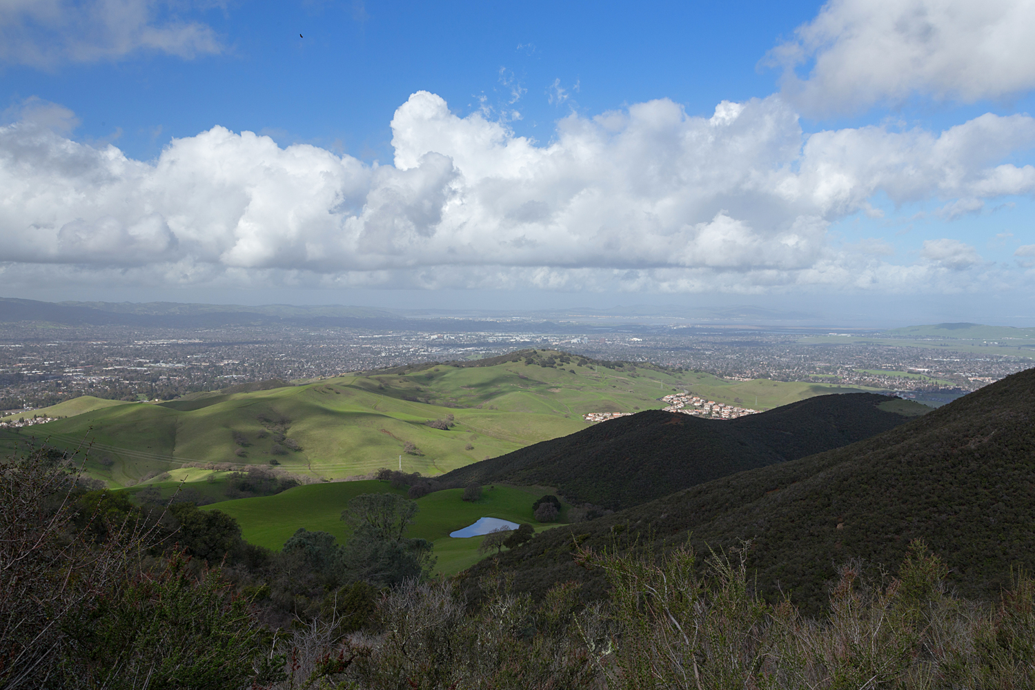 2 mount diablo state park black point 2.jpg