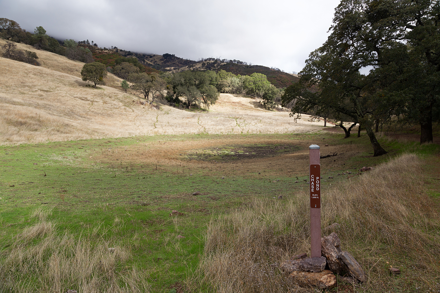 Mount Diablo State Park Curry Canyon Chase Pond Frog Pond-2.jpg