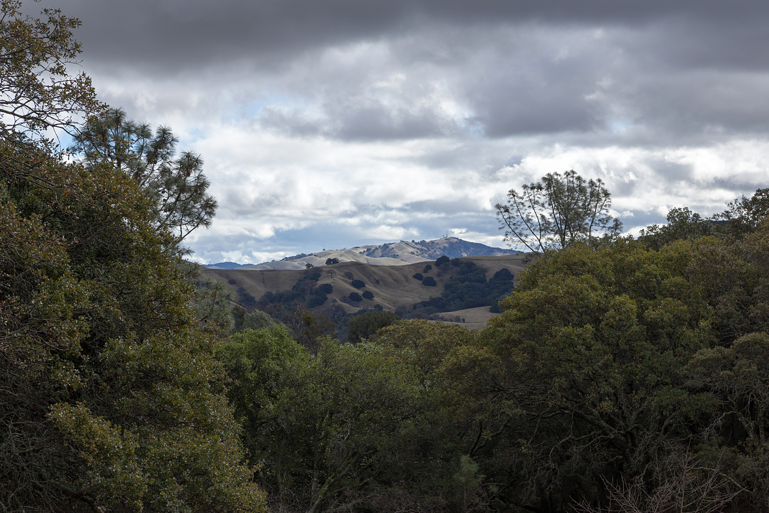 Mount Diablo State Park Curry Canyon Chase Pond Frog Pond-10.jpg