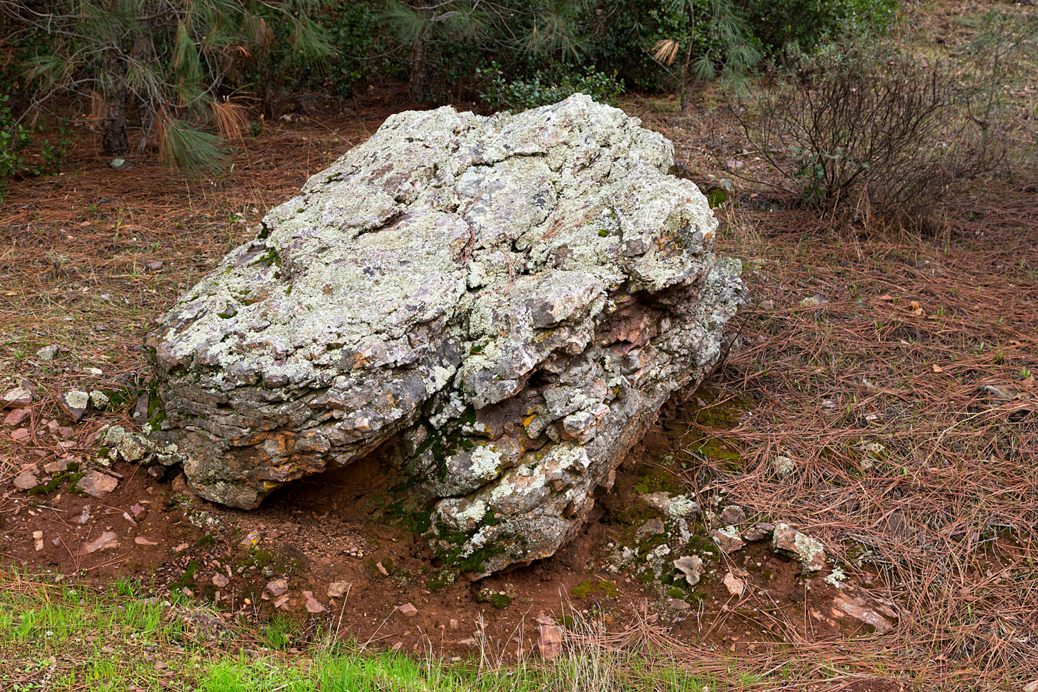 Mount Diablo State Park Curry Canyon Chase Pond Frog Pond-13.jpg