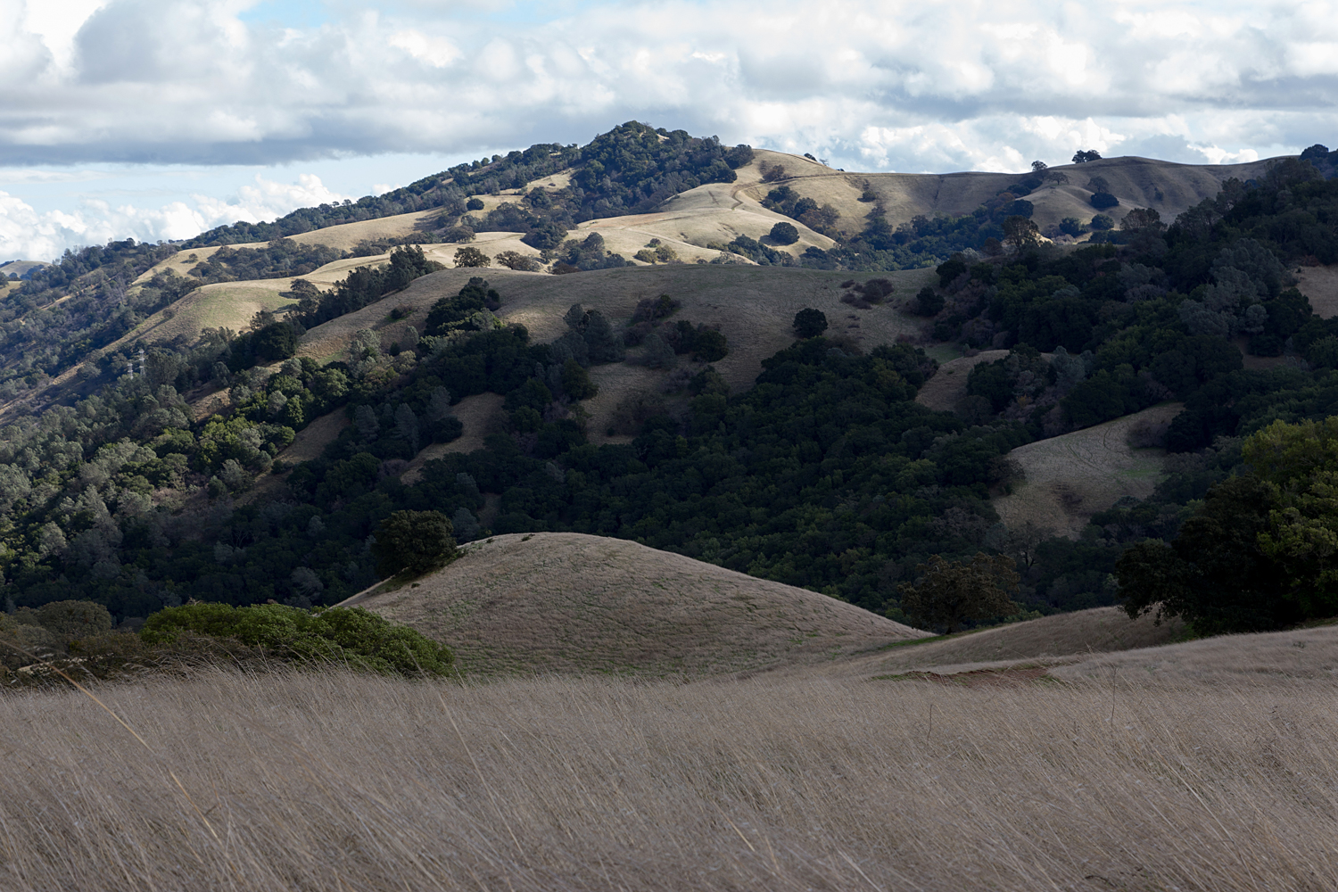 Mount Diablo State Park Curry Canyon Chase Pond Frog Pond-15.jpg