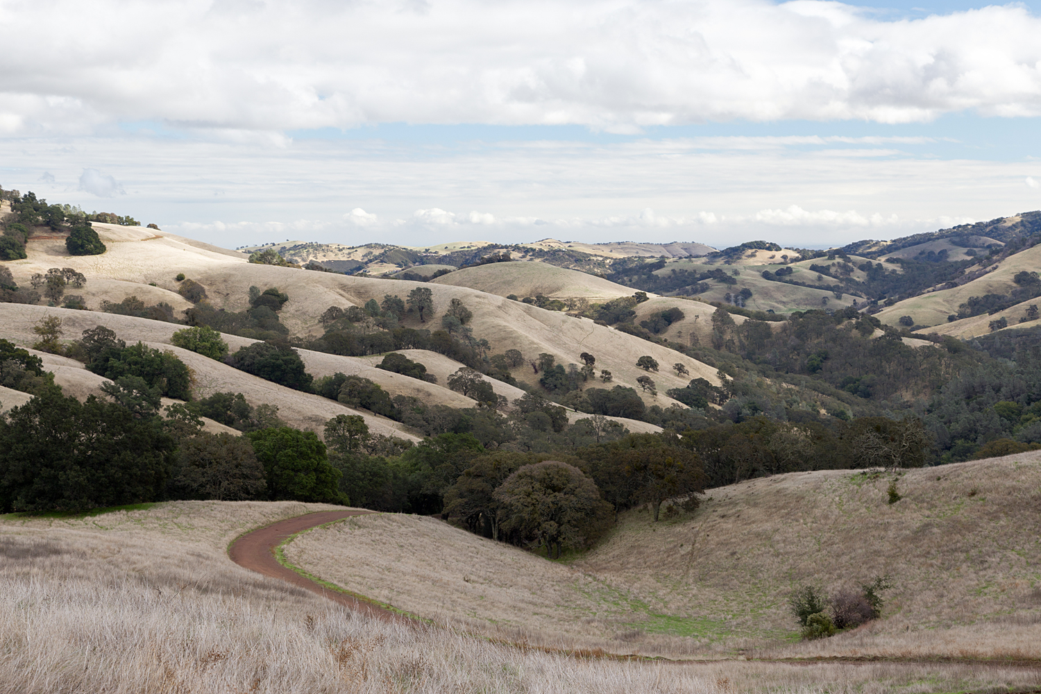 Mount Diablo State Park Curry Canyon Chase Pond Frog Pond-46.jpg