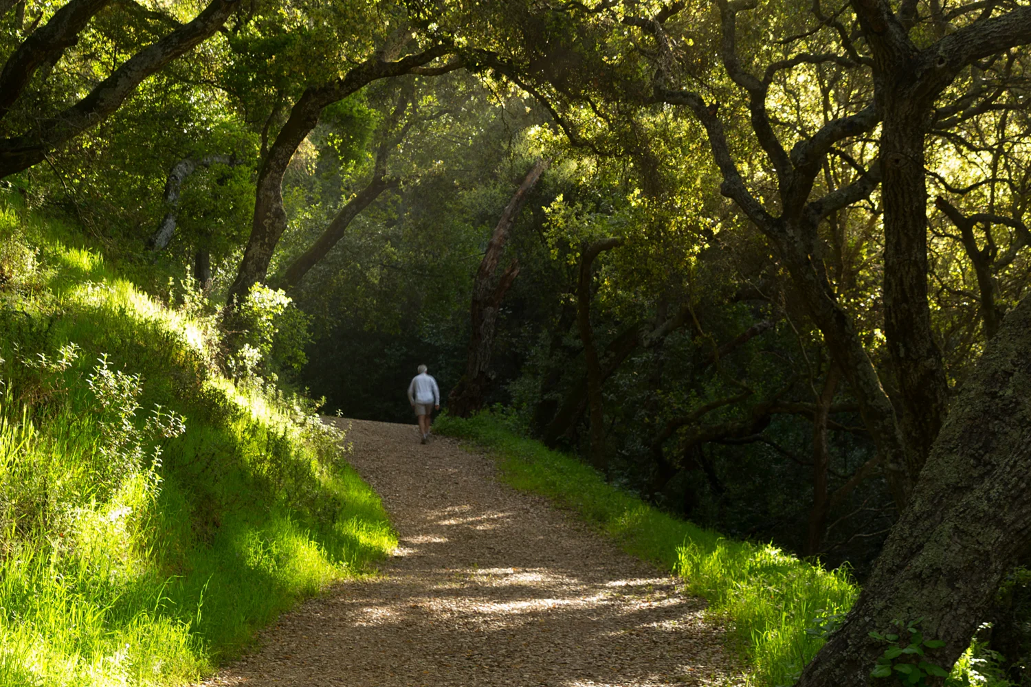 King's Canyon Loop-12.jpg