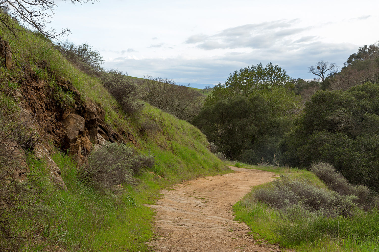 Madrone Canyon Sycamore Creek Trails-4.jpg