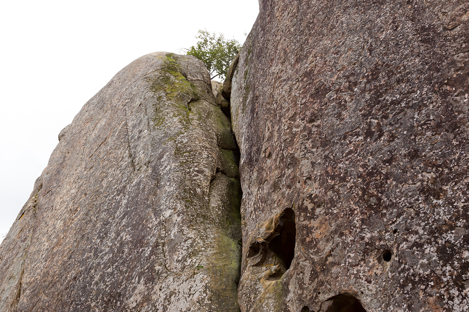 Madrone Canyon Sycamore Creek Trails-20.jpg