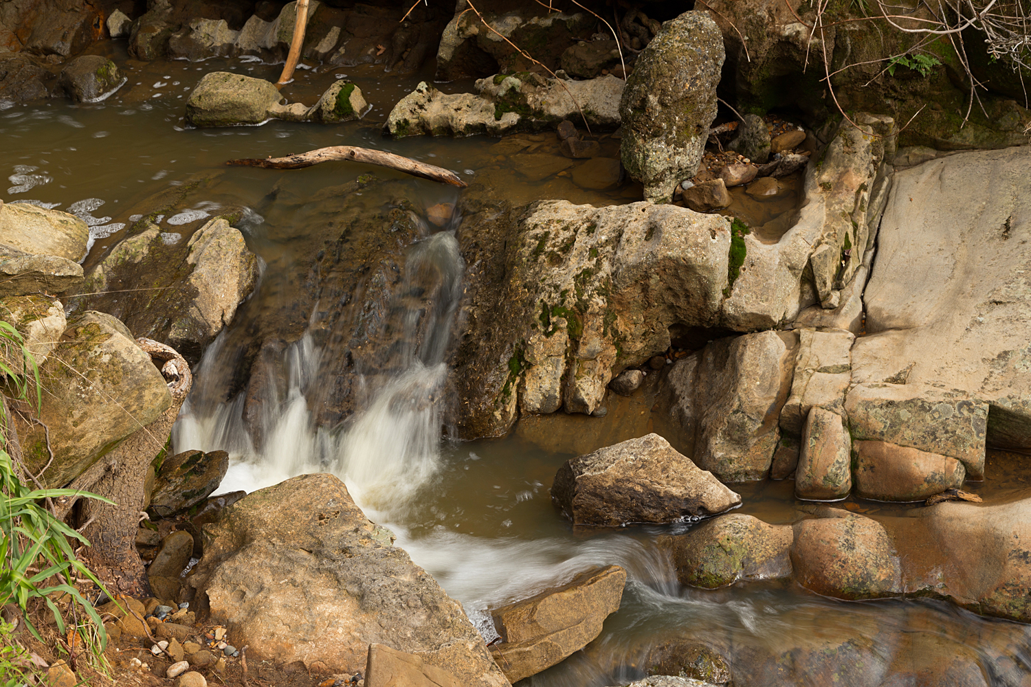 Madrone Canyon Sycamore Creek Trails.jpg