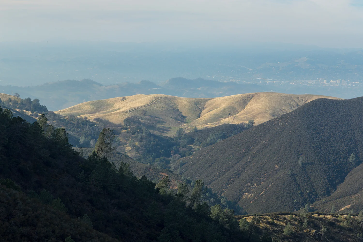 Eagle Peak Mount Diablo State park-13.jpg