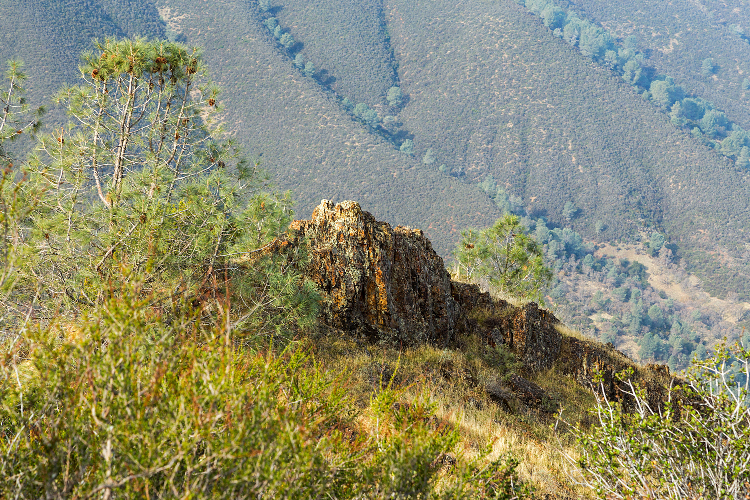 Eagle Peak Mount Diablo State park-17.jpg