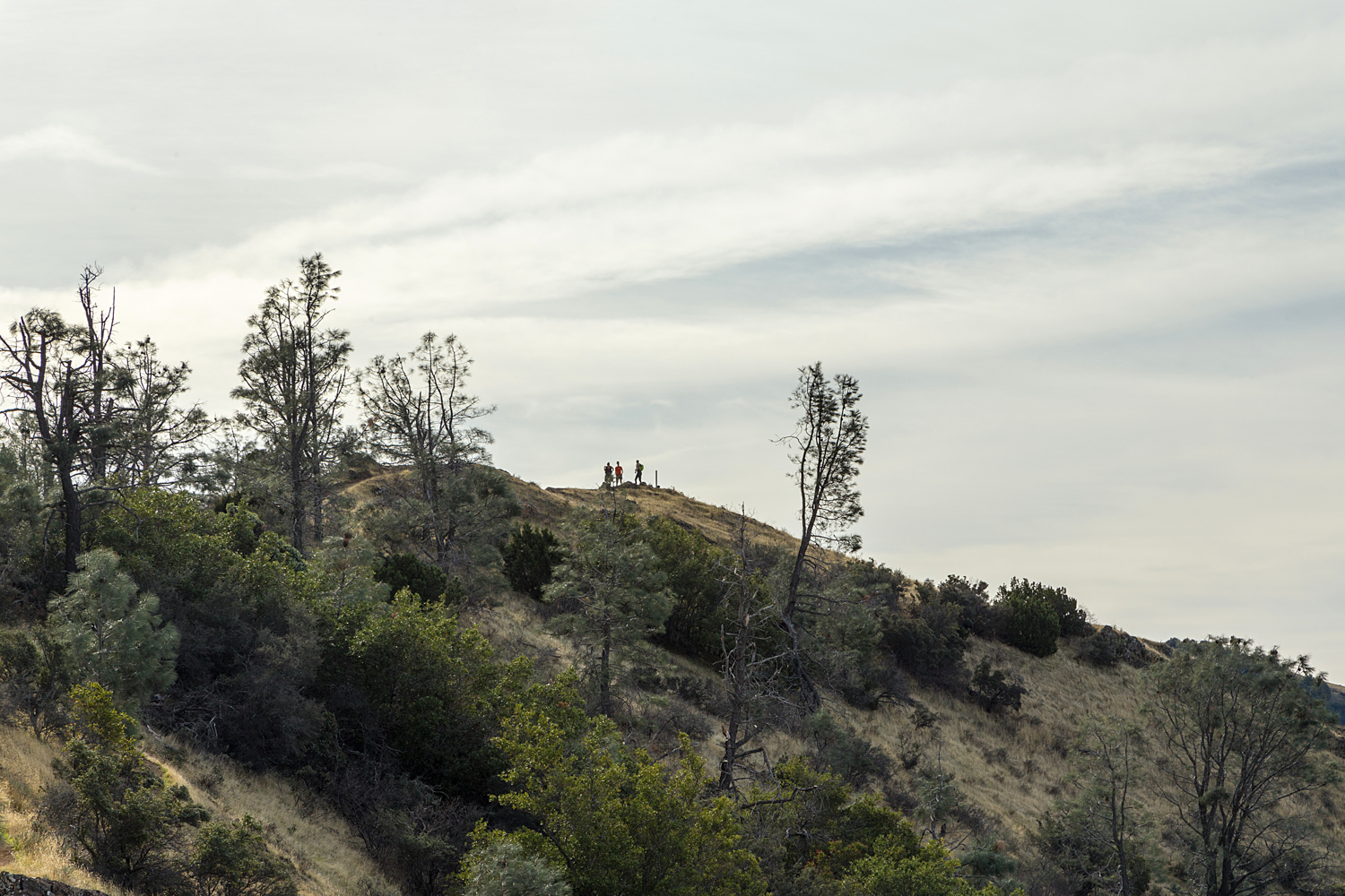 Eagle Peak Mount Diablo State park-18.jpg