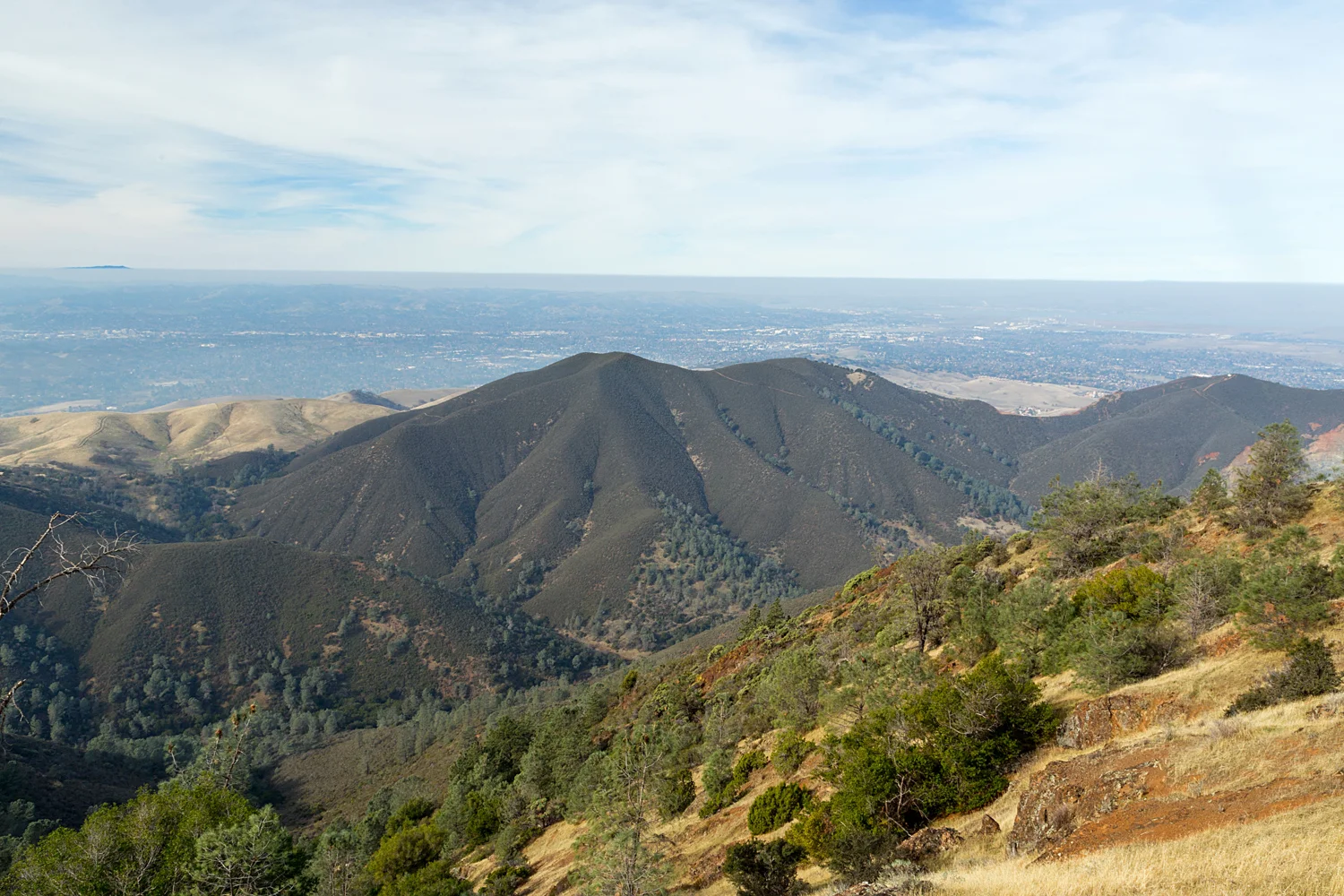 Eagle Peak Mount Diablo State park-19.jpg