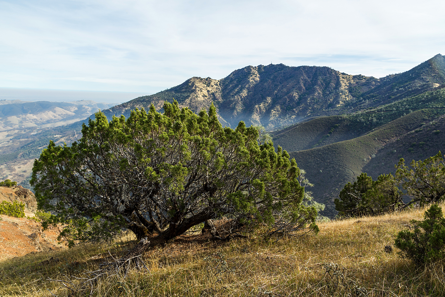 Eagle Peak Mount Diablo State park-23.jpg
