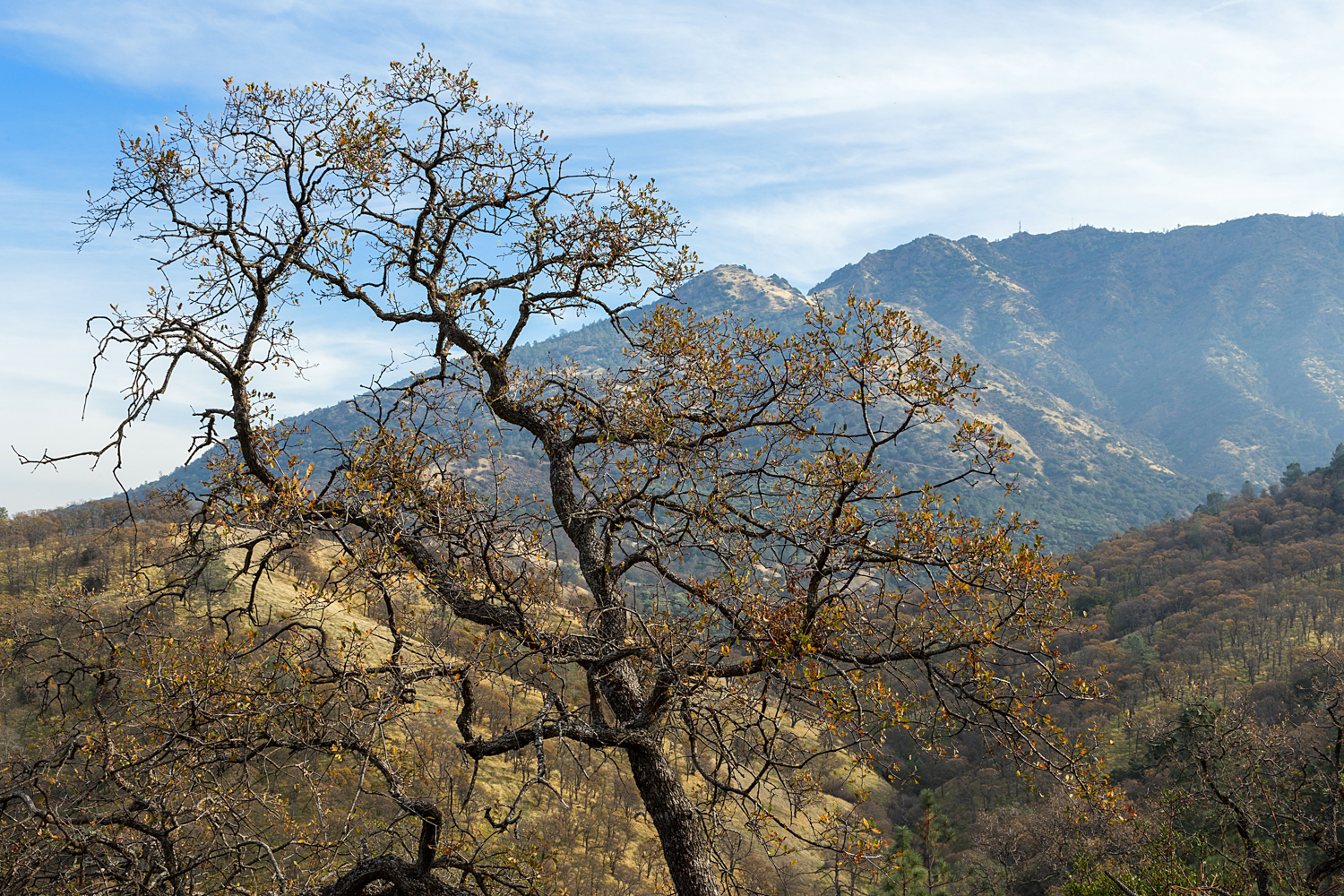 Eagle Peak Mount Diablo State park-29.jpg