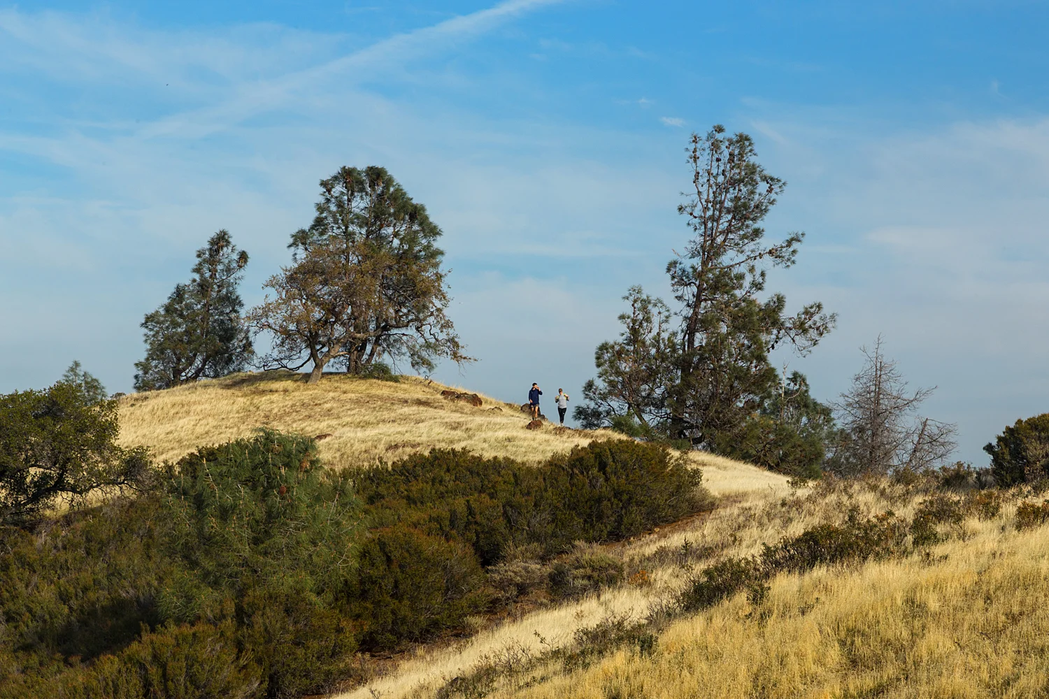 Eagle Peak Mount Diablo State park-41.jpg