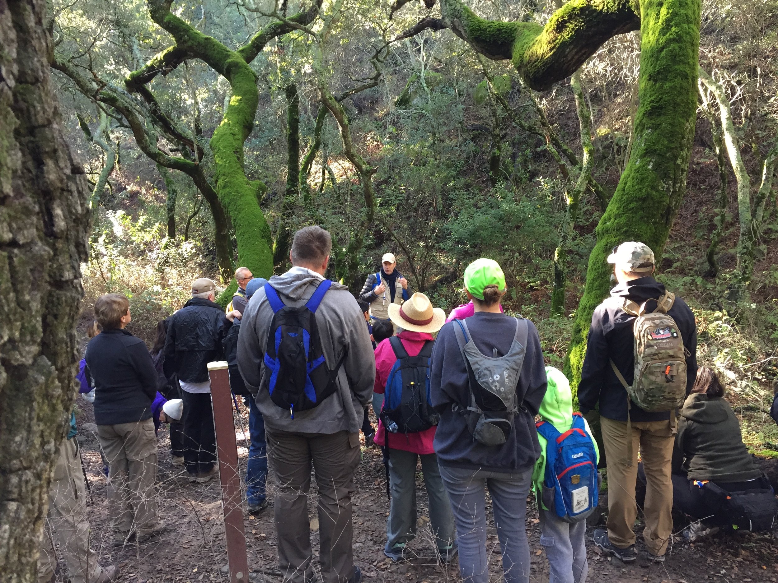 Leading a naturalist hike in Mount Diablo State Park