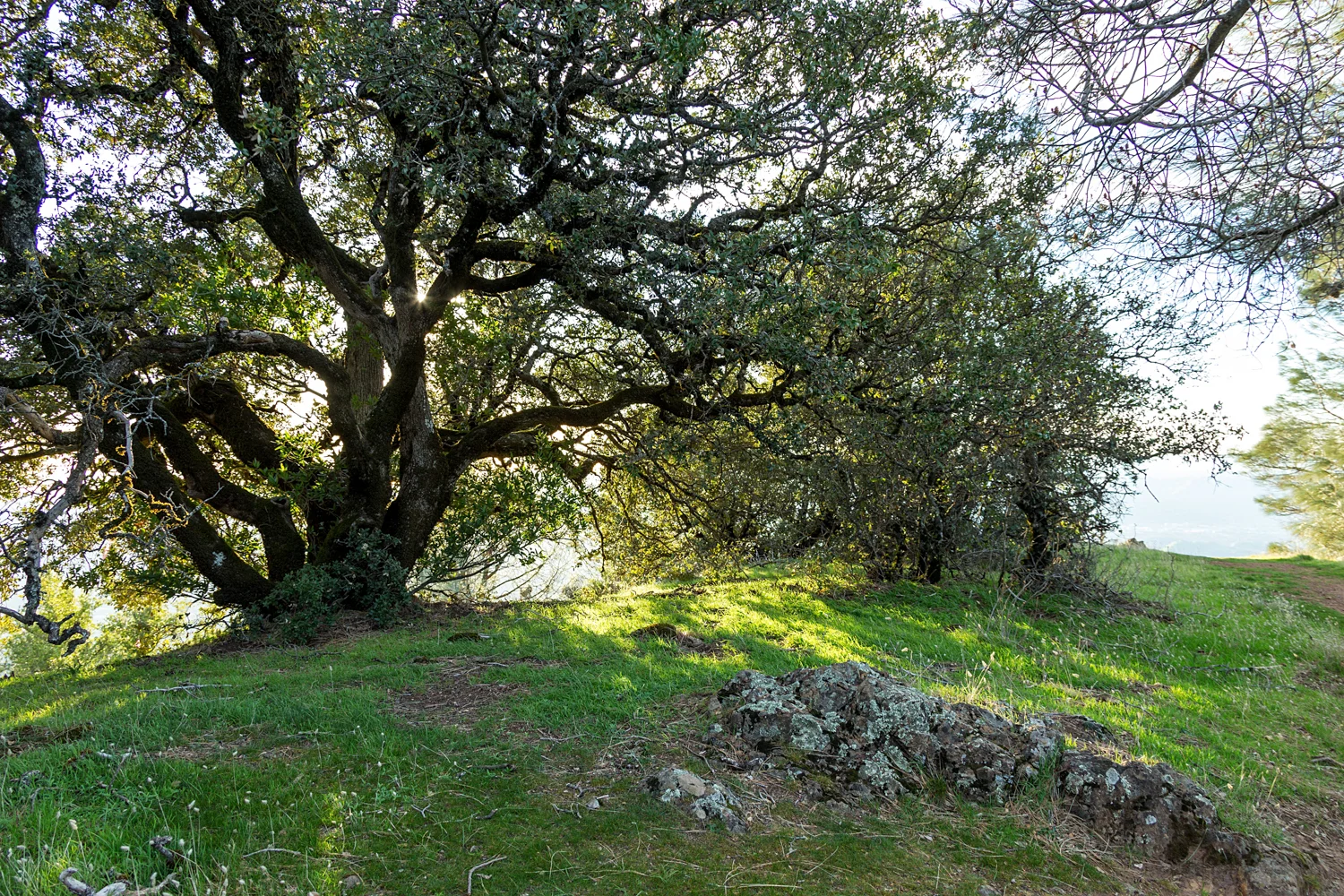 A Moment on Mount Diablo