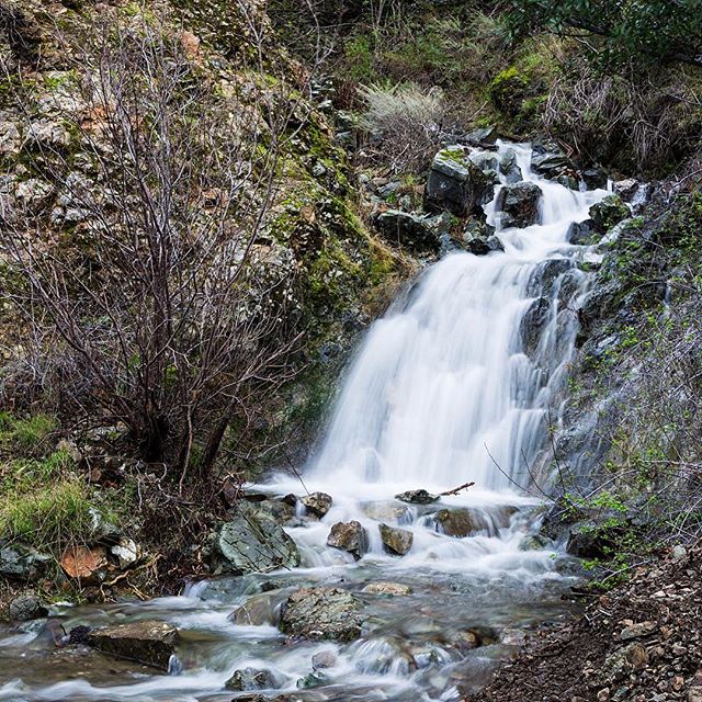 After our recent &quot;Atmospheric river&quot; the streams and falls in Mt Diablo State Park are raging and thunderous...it's a great time to see falls where they don't usually appear... View from the Falls Trail... #waterfalls #mtdiablo #winterhikin