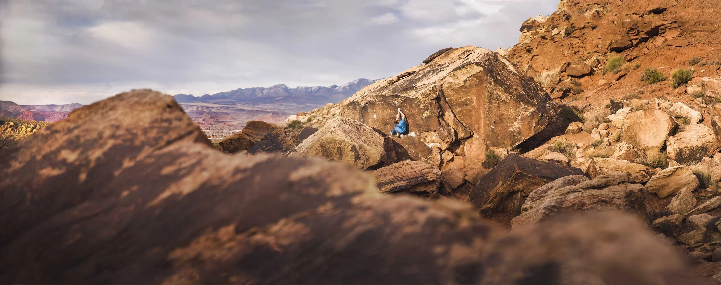 TAYLOR_LOOSECANNON small.jpg