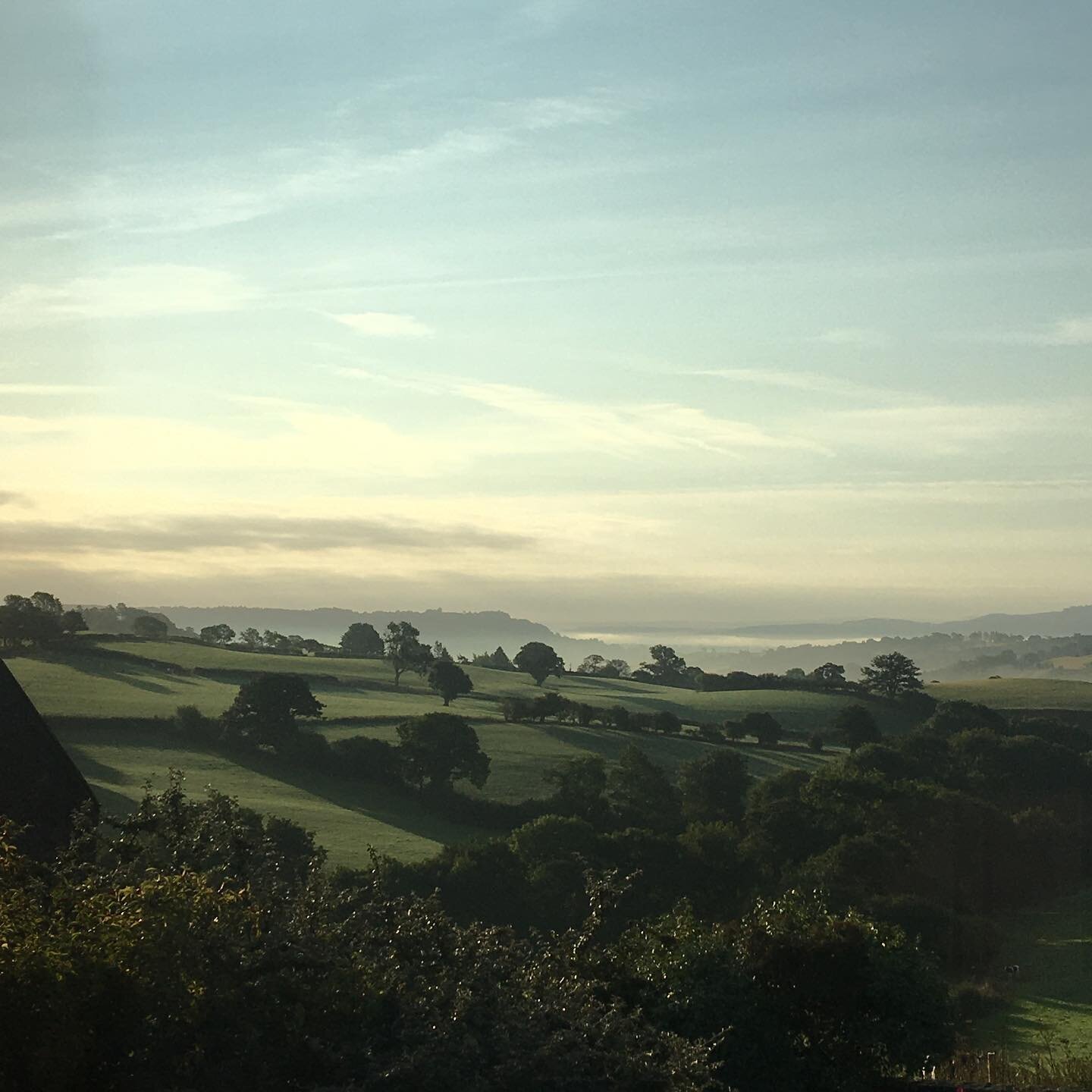 Beautiful morning&hellip; all mists and mellow fruitfulness. And a very noisy squirrel!