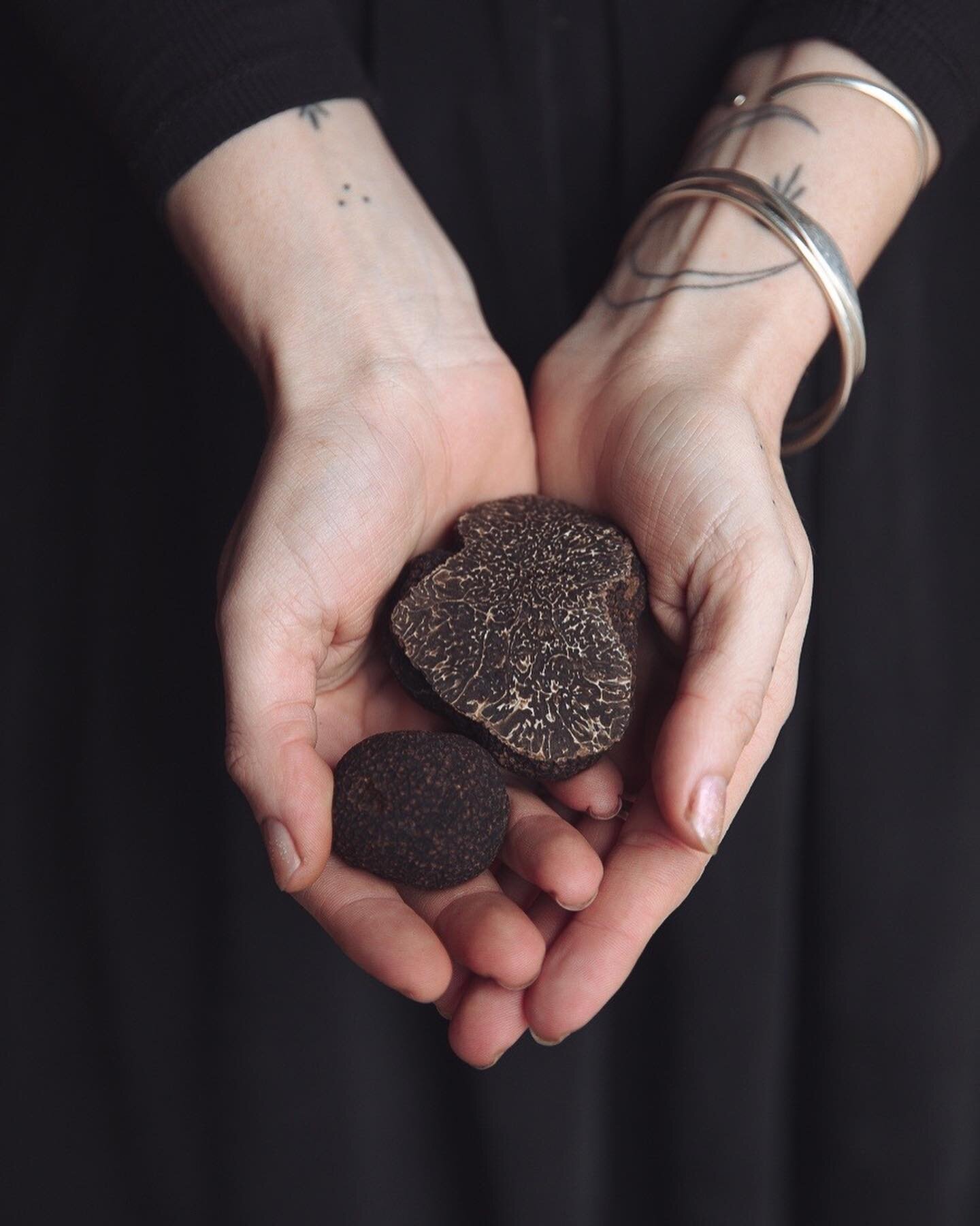 I&rsquo;m seeing truffle content everywhere and getting massive fomo. I want to eat those tasty little ground balls. 

Here is some from last year at @tempuskatoomba with hand modelling by @flora.folk and truffles from @kanimblavalleytruffles