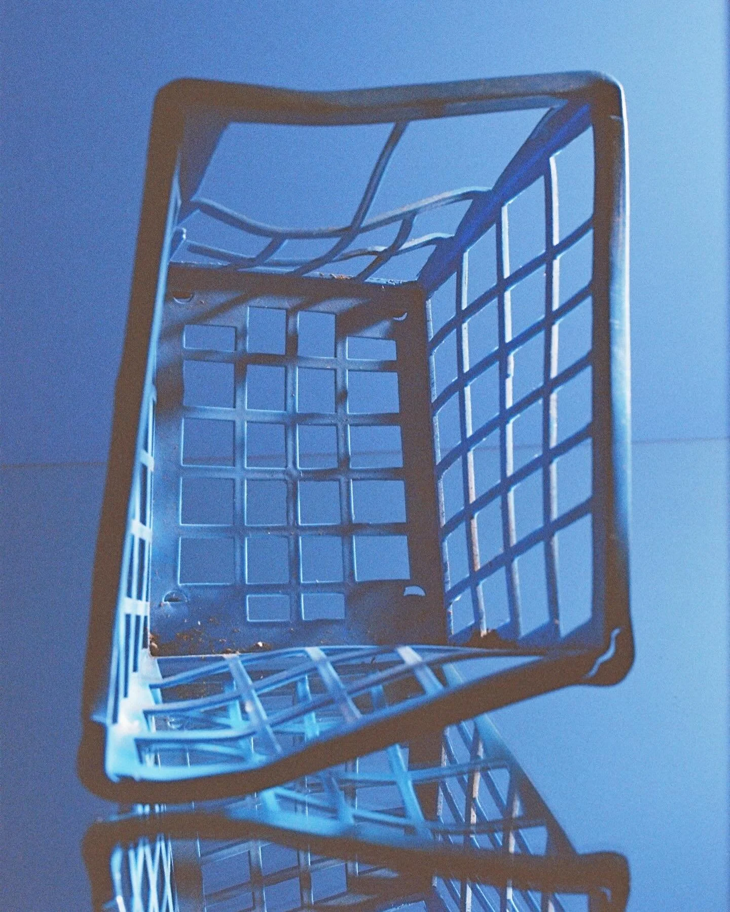 Come join me this Saturday 1-2pm in the workshop room of the @bluemountainsculturalcentre for the @bluemtns_sustainability_fest 

I&rsquo;ll be doing a lighting/setup demo while I chat with Kyle Walmsley who is a Creative Industries Officer for @blue