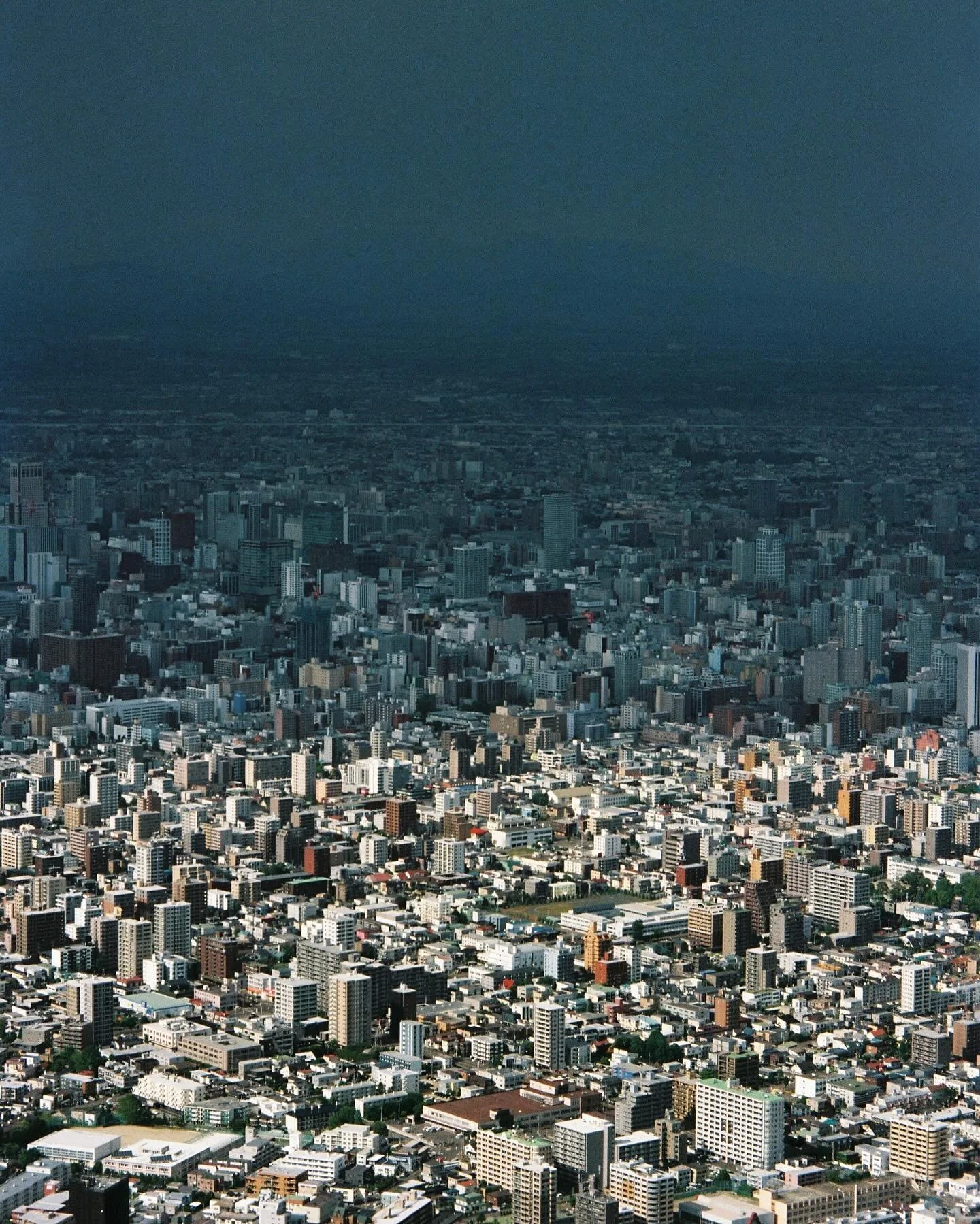 I have a few calendars left, $30 each $10 postage, free pickup from Katoomba. All money goes to Palestine Children&rsquo;s Relief Fund. If you want one send me a message and I&rsquo;ll give you the details. 

This year the images are &lsquo;busy&rsqu