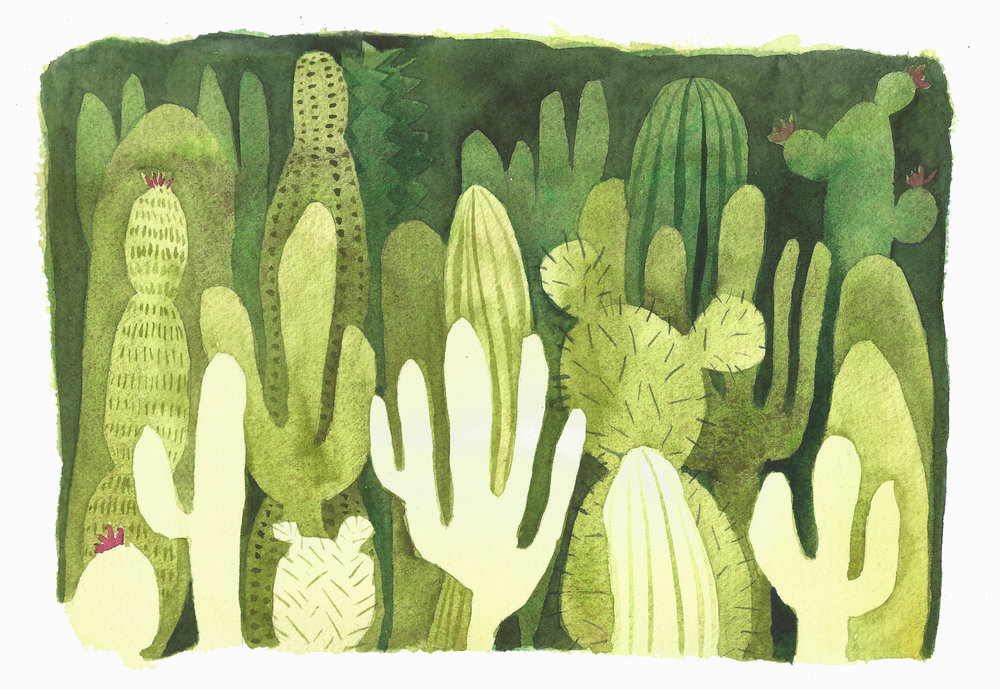 cacti_Sept2016.jpg