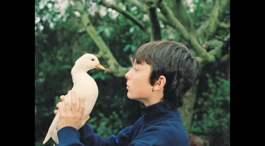 WildlifeParkREVC01 013.png