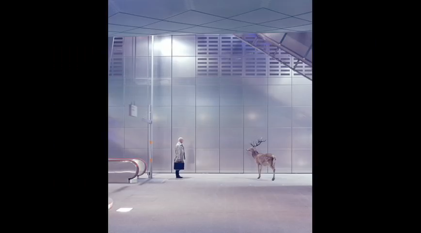 WildlifeParkREVC01 030.png