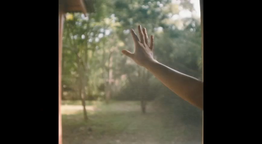 WildlifeParkREVC01 100.png