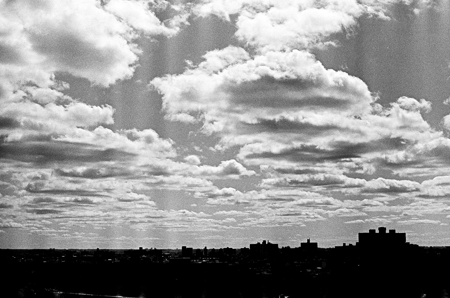 View All ➞