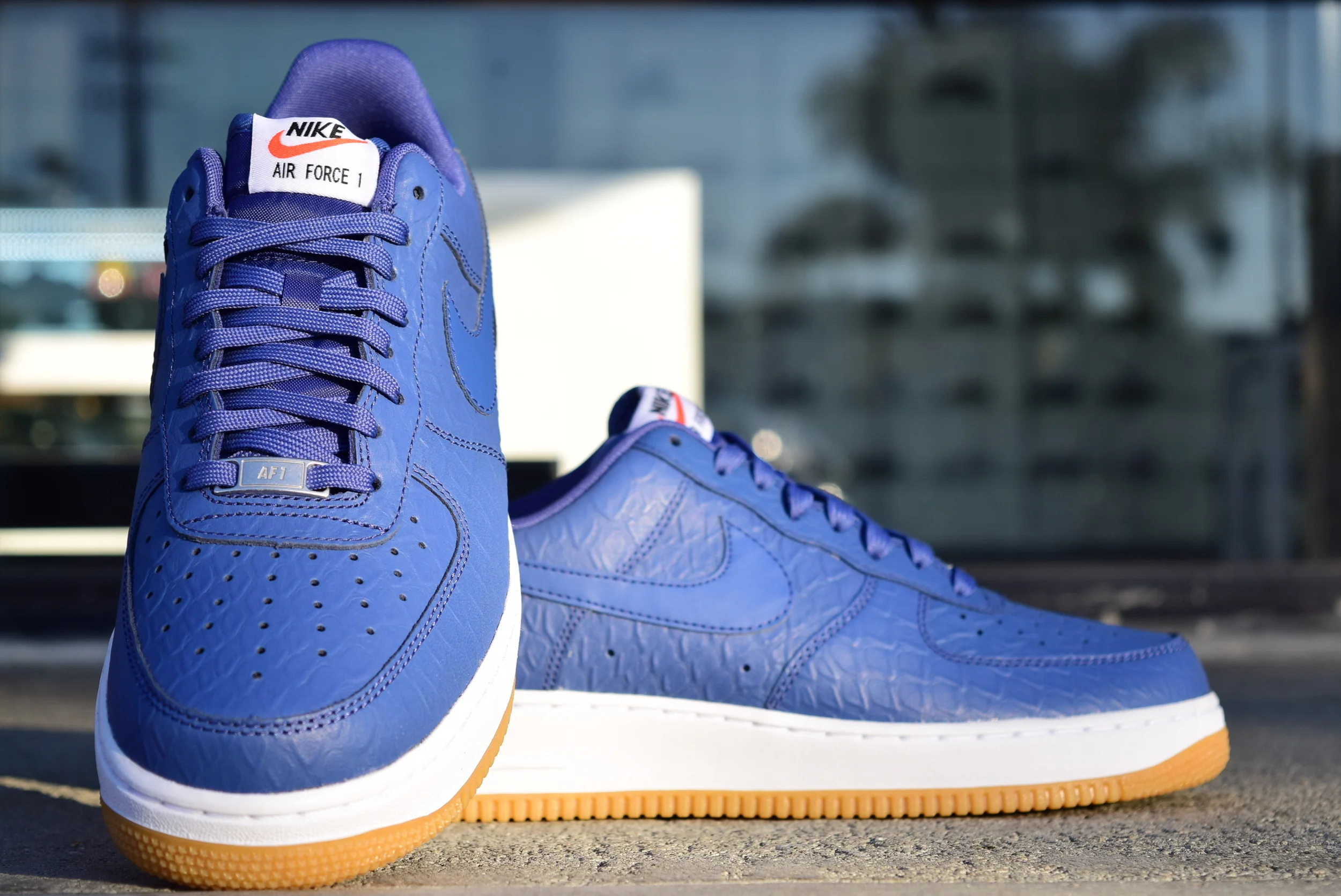 af1 blue bottom
