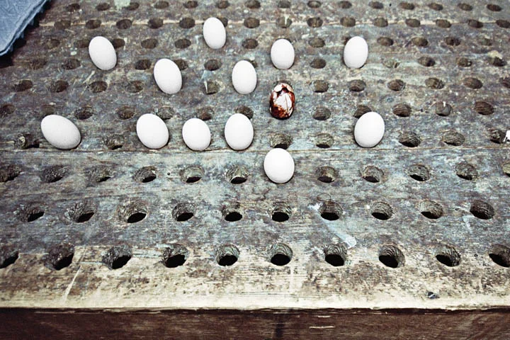 23.jpg