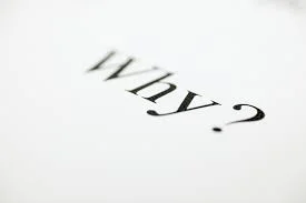 Being reminded why...