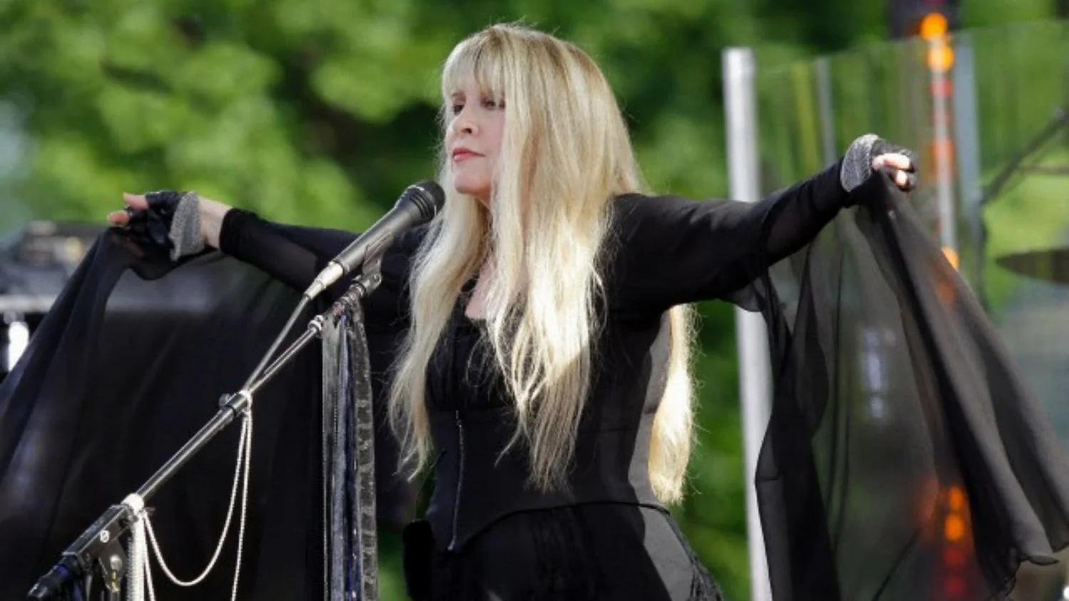 WaPo Book Review: Stevie Nicks: Visions, Dreams, & Rumours</em>