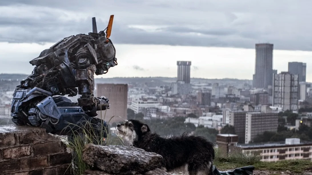 What's It All About, Chappie?</em>