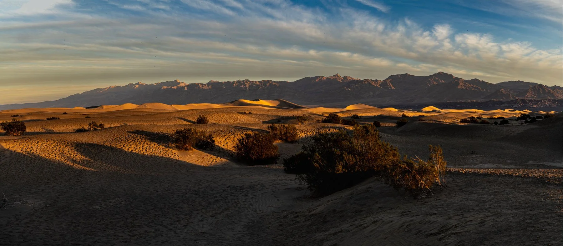 Desert 1800 px 70 percent-2.jpg