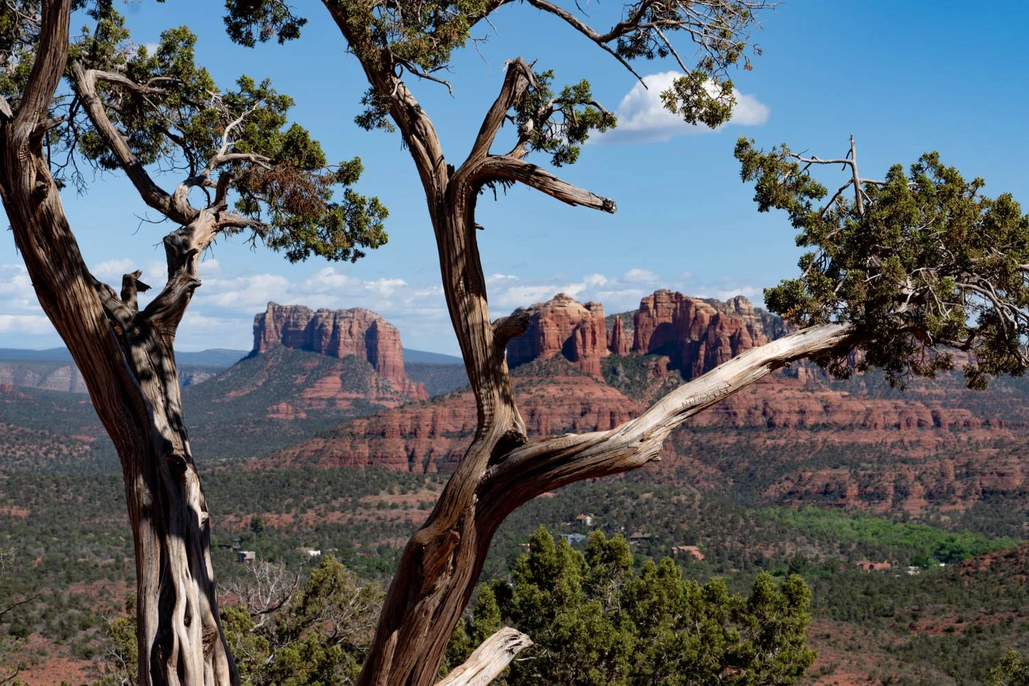 Sedona-12.jpg