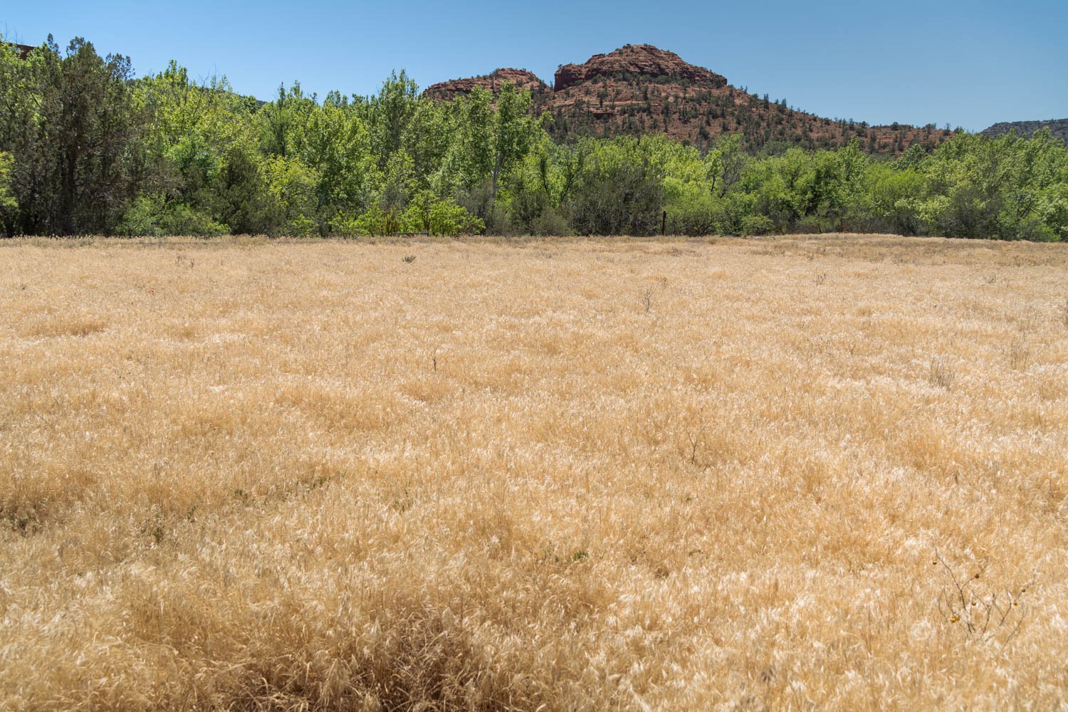 Sedona-14.jpg