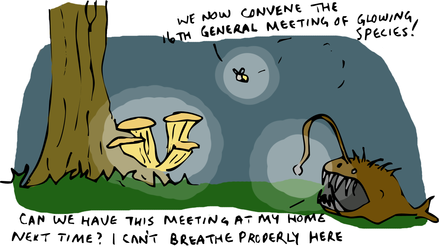 2+-+General+Meeting.png