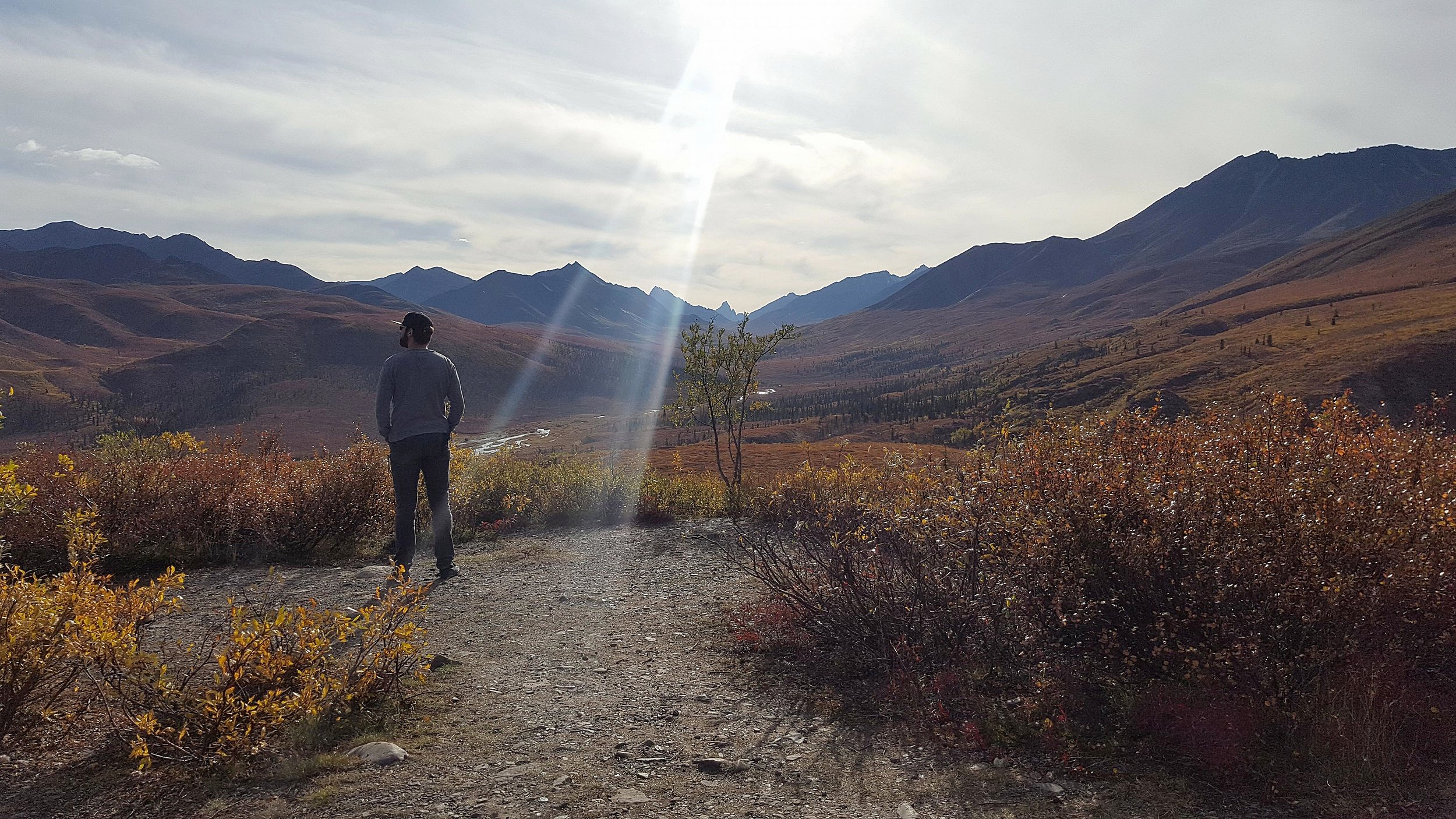 whitehorse 10.jpg
