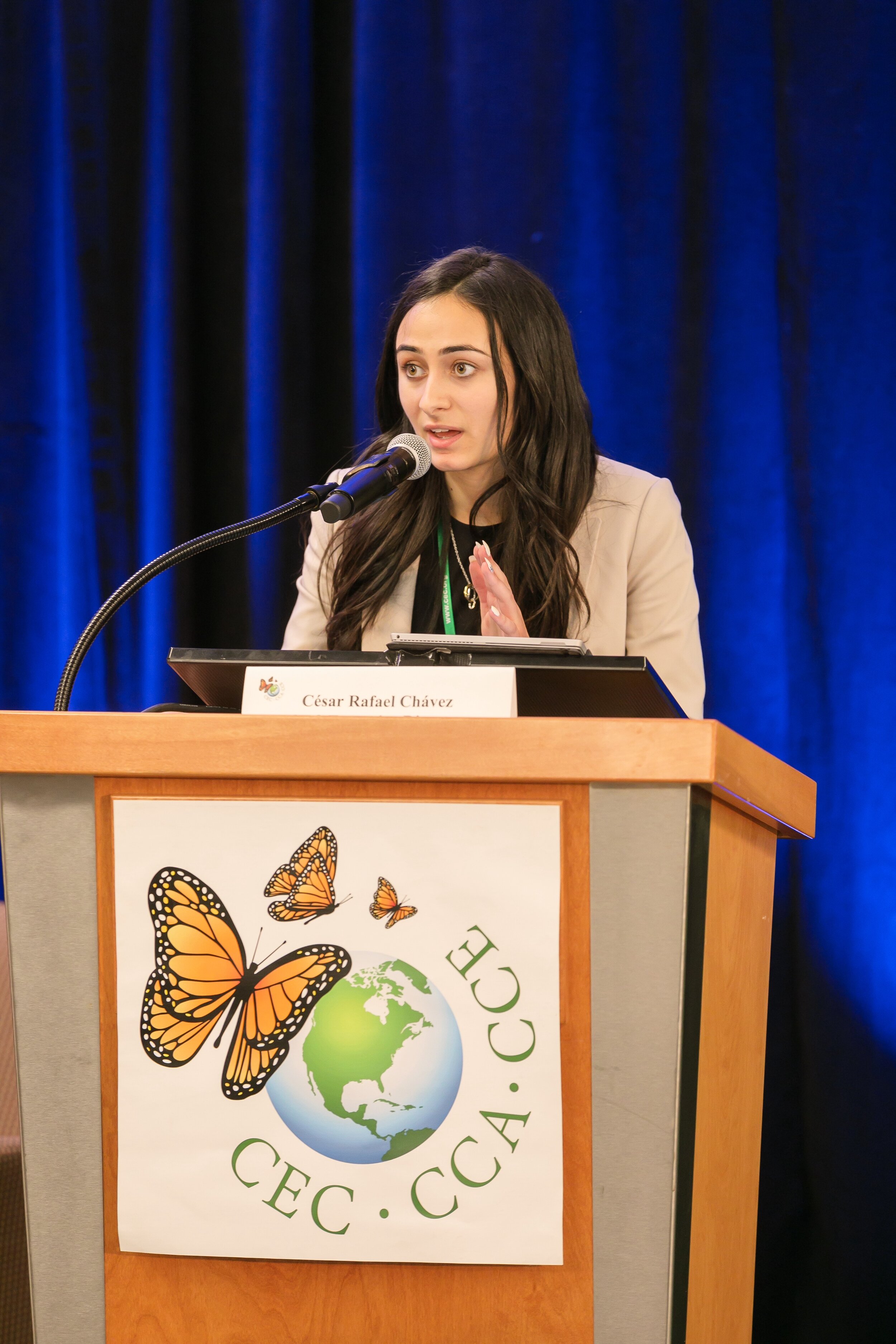 1*EFhJAkadi5NC_K988J4Z1A - Vanessa Fiore.jpg