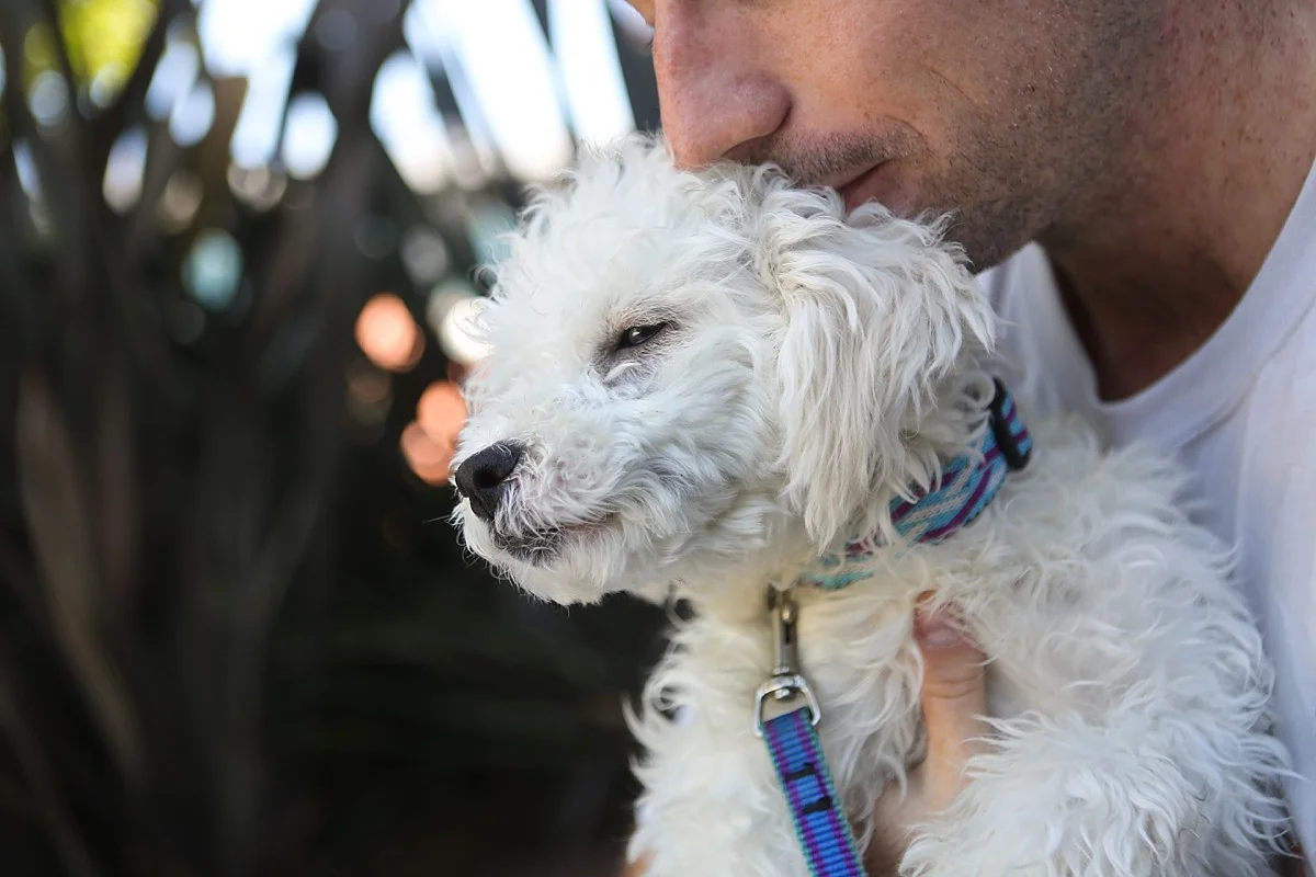 heavenmcarthur-humane-society-silicon-valley-calendar-2014-web_0038.jpg