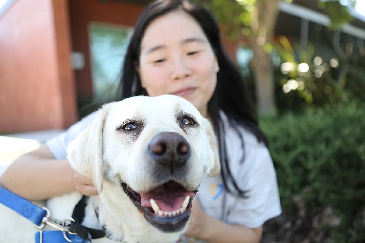 heavenmcarthur-humane-society-silicon-valley-calendar-2014-web_0040.jpg