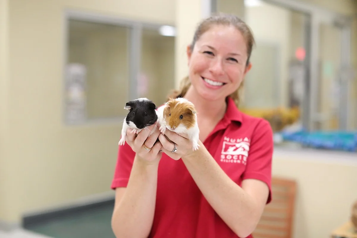 heavenmcarthur-humane-society-silicon-valley-calendar-2014-web_0054.jpg