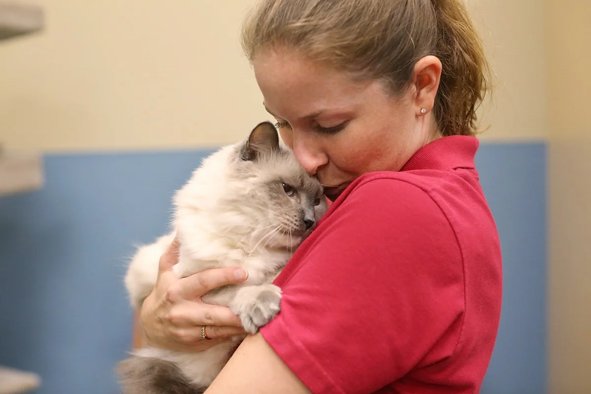 heavenmcarthur-humane-society-silicon-valley-calendar-2014-web_0055.jpg