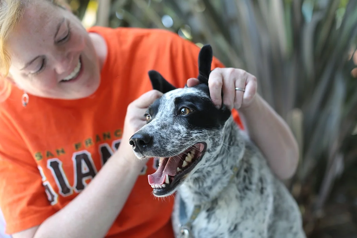 heavenmcarthur-humane-society-silicon-valley-calendar-2014-web_0057.jpg