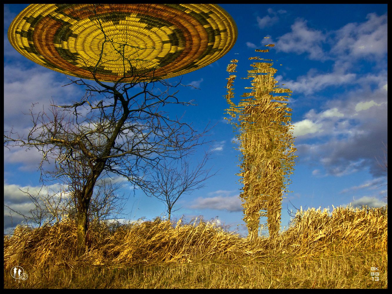 Grassland UFO_web.jpg