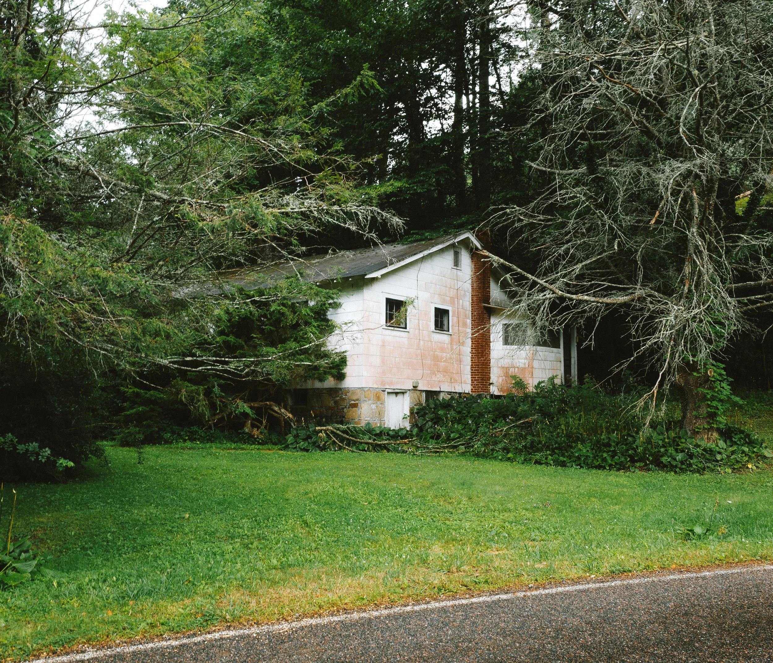 R0029660.jpg